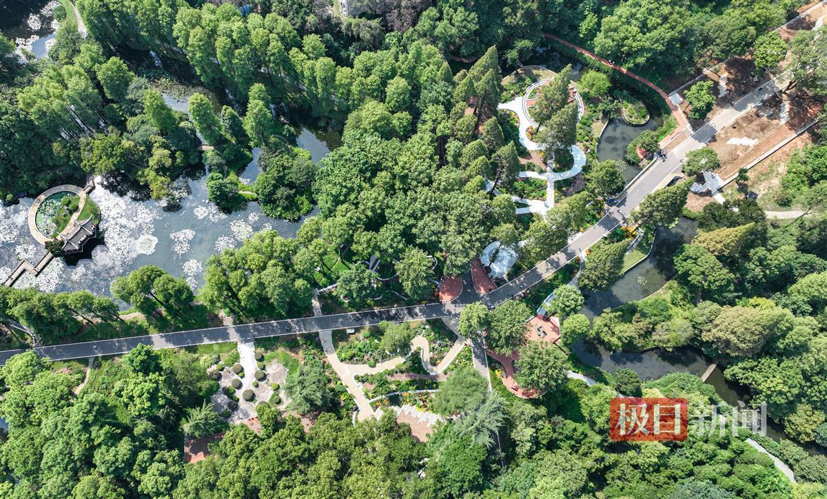 杰克棋牌大厅