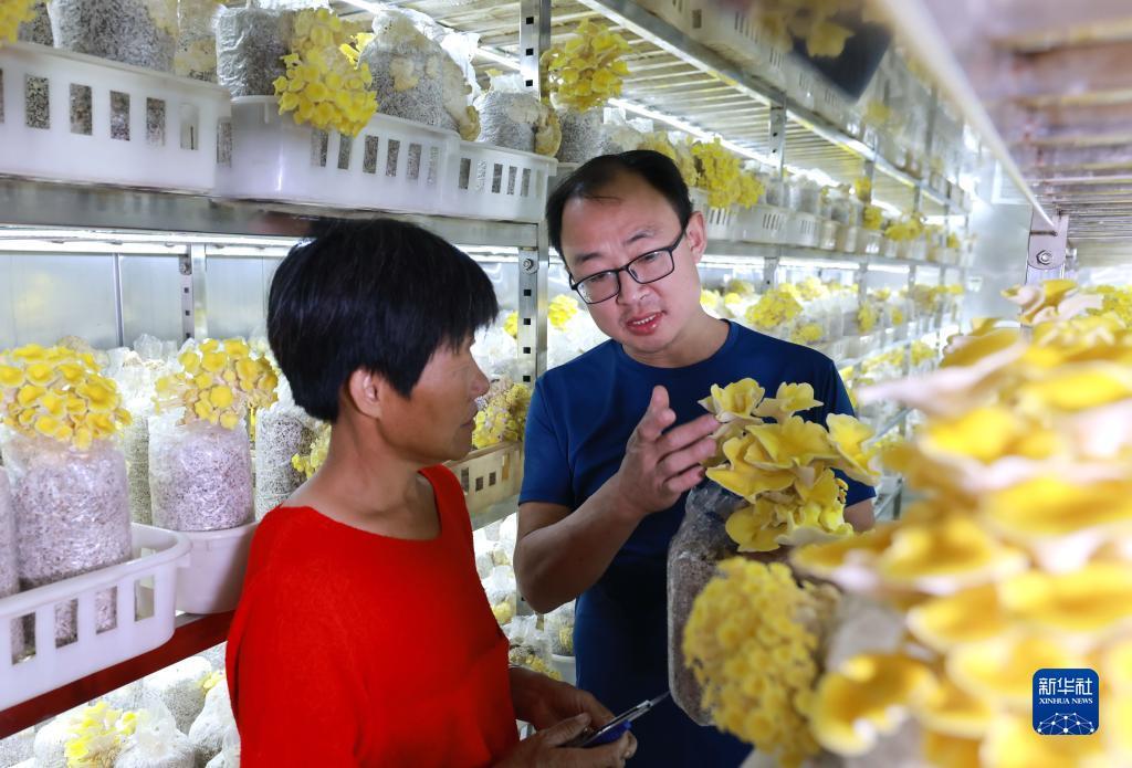 运发娱乐国际